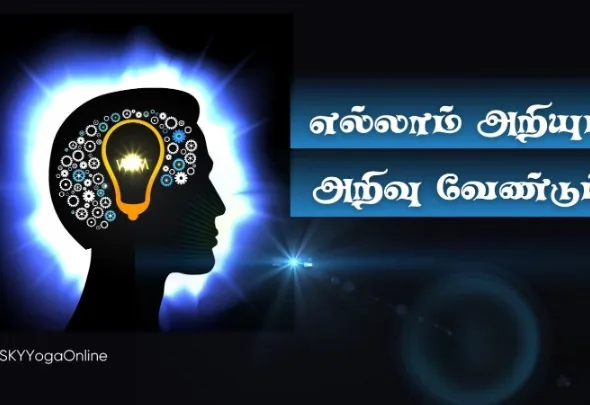 knowledge_cleanup